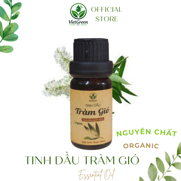 Tinh Dầu Tràm Gió